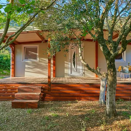 Mobile Homes Village 