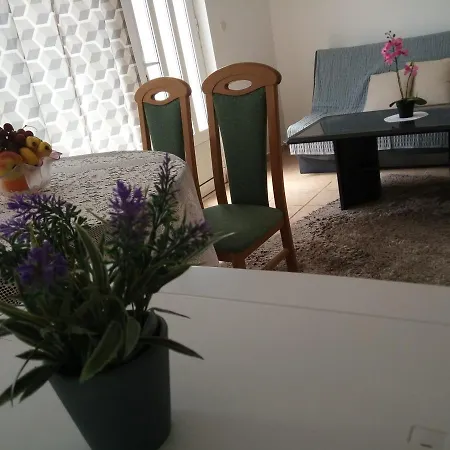 Camping Mobile Homes Village 